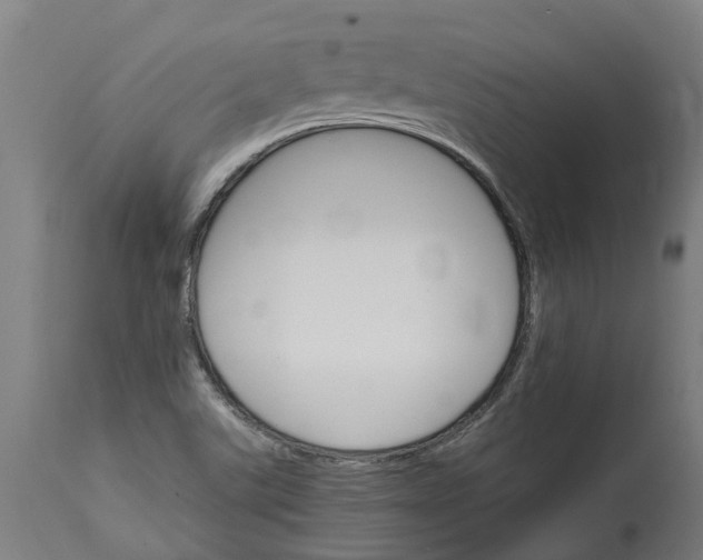 X0000114401507200911131354