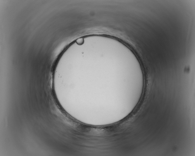 X0000114401509200911131354