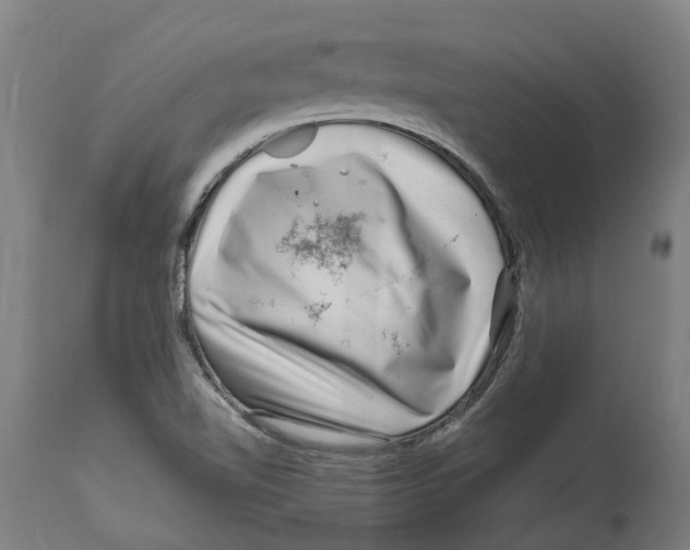 X0000114401510200911131354