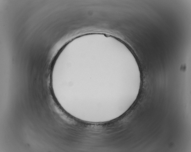 X0000114401511200911131354