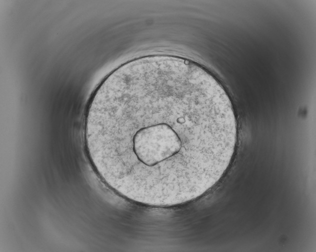 X0000114401514200911131354