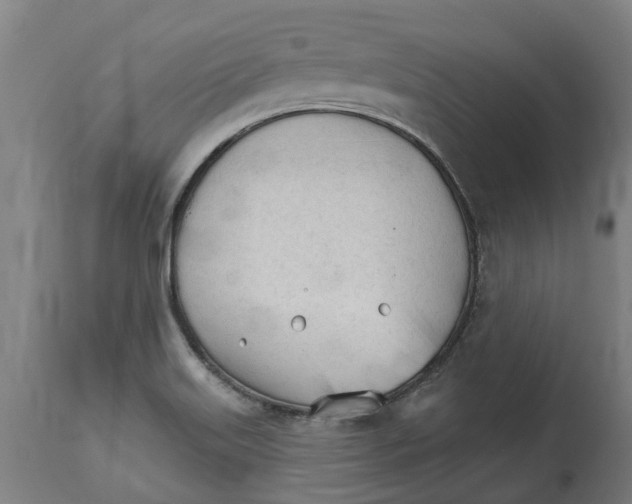 X0000114401515200911131354