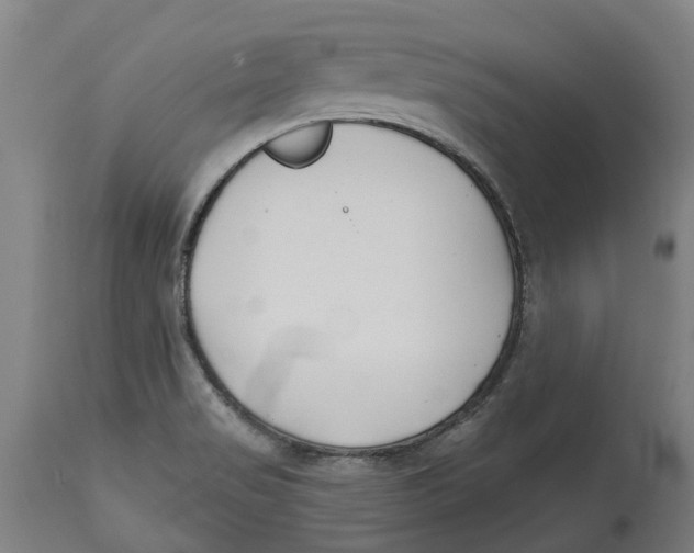 X0000114401517200911131354