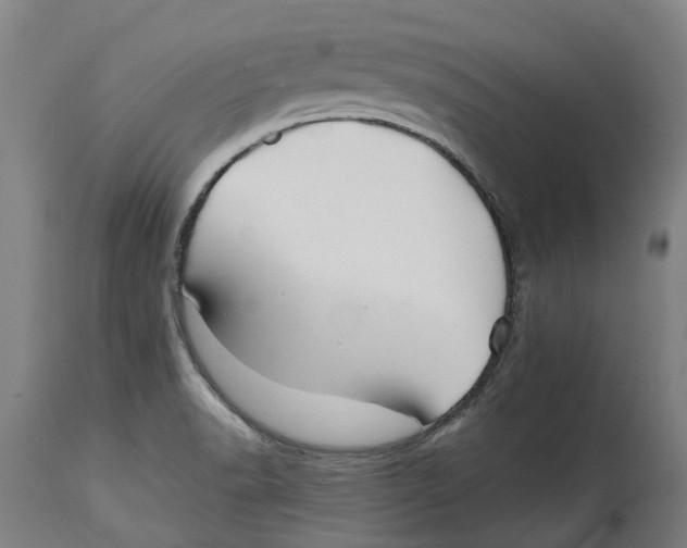 X0000114401518200911131354