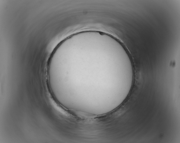 X0000114401519200911131354