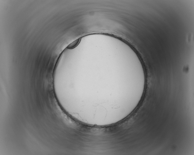 X0000114401521200911131354