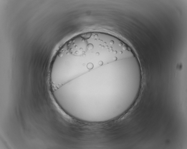 X0000114401525200911131354