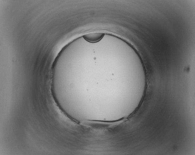 X0000114401526200911131354