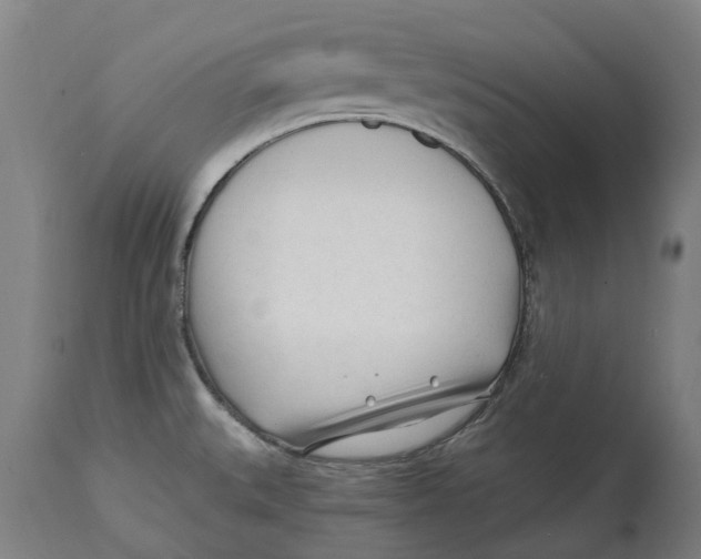 X0000114401527200911131354