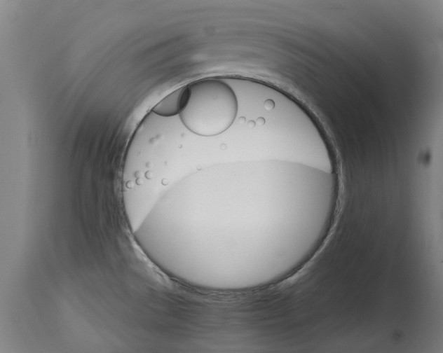 X0000114401529200911131354