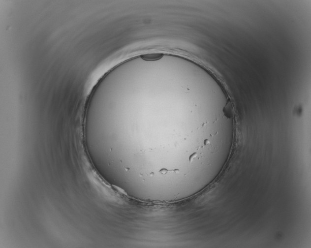 X0000114401530200911131354