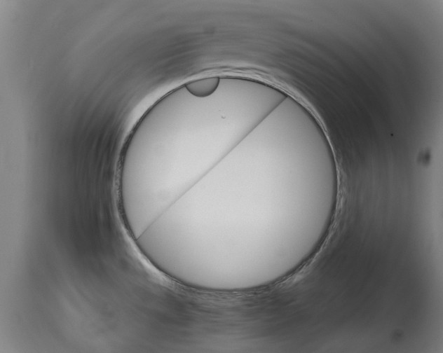 X0000114401533200911131354