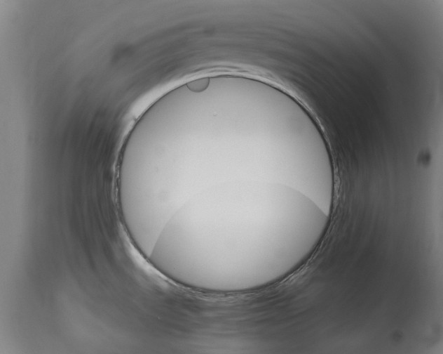 X0000114401535200911131354