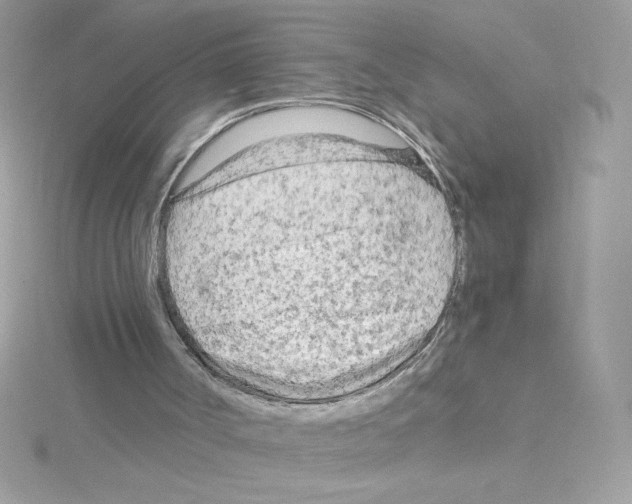 X0000114400002200911271525