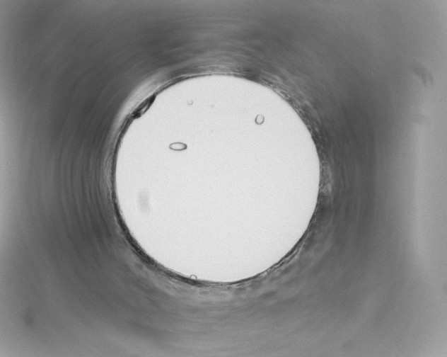 X0000114400004200911271525