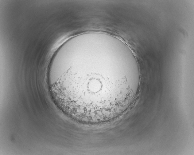 X0000114400005200911271525