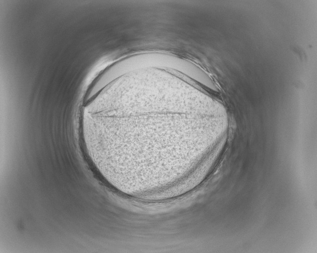 X0000114400006200911271525