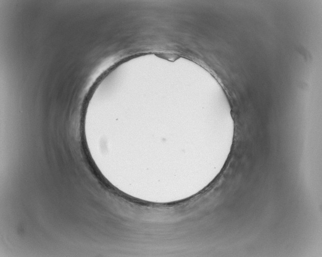 X0000114400008200911271525