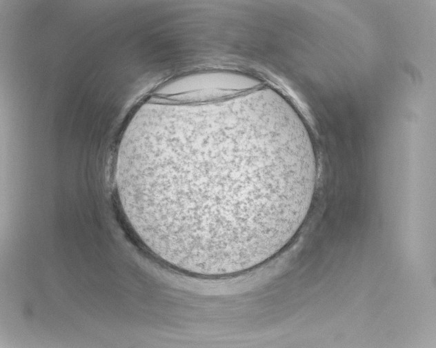 X0000114400010200911271525