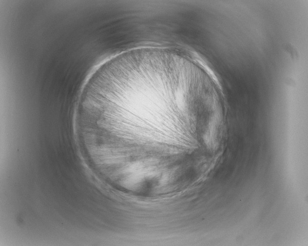 X0000114400011200911271525