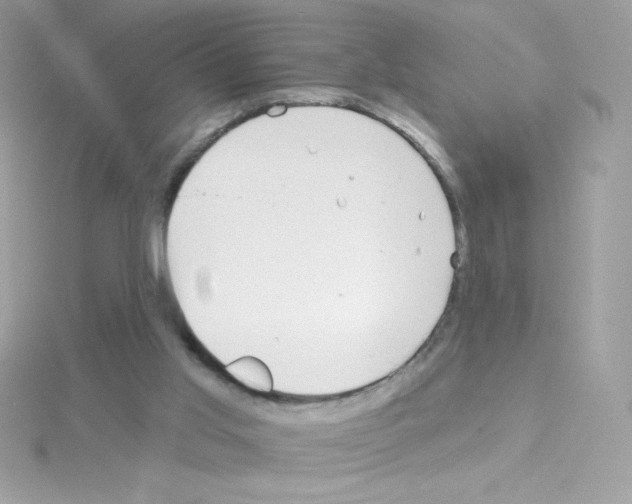 X0000114400013200911271525