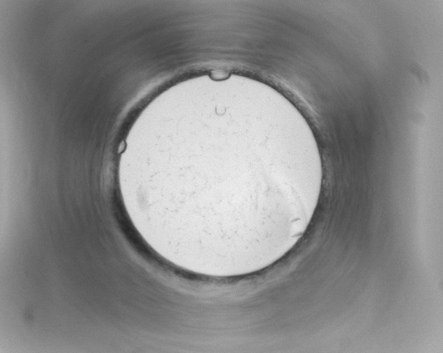 X0000114400016200911271525