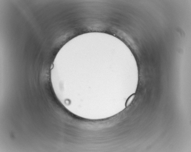 X0000114400017200911271525