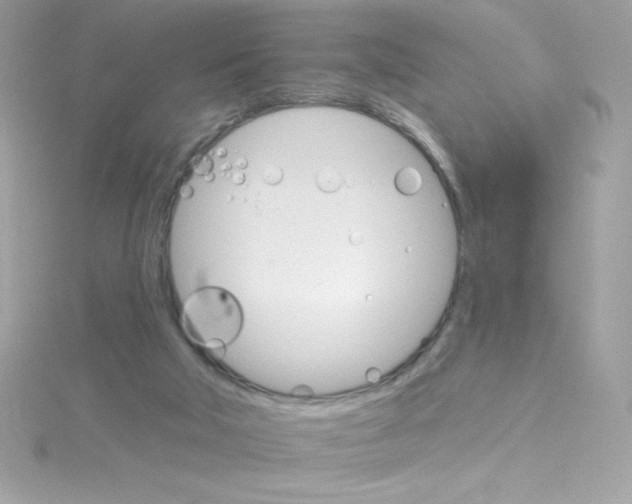 X0000114400018200911271525