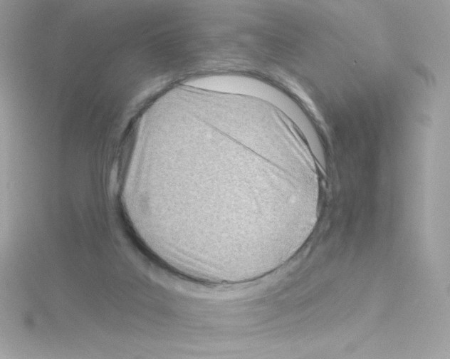 X0000114400019200911271525