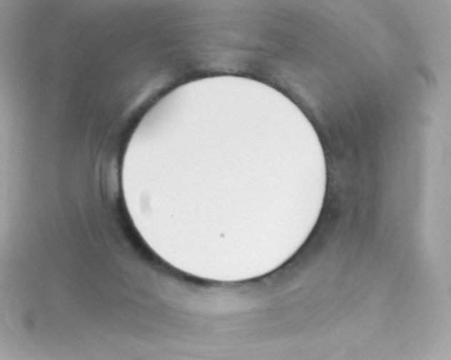 X0000114400020200911271525