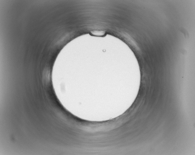 X0000114400021200911271525