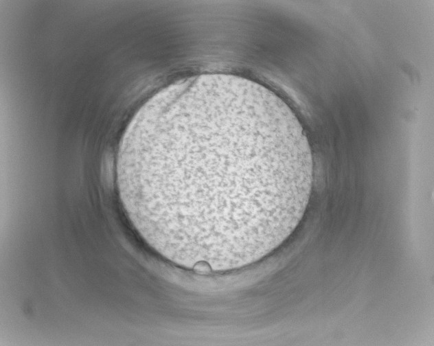 X0000114400022200911271525