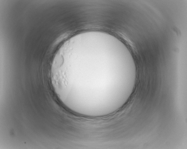 X0000114400024200911271525