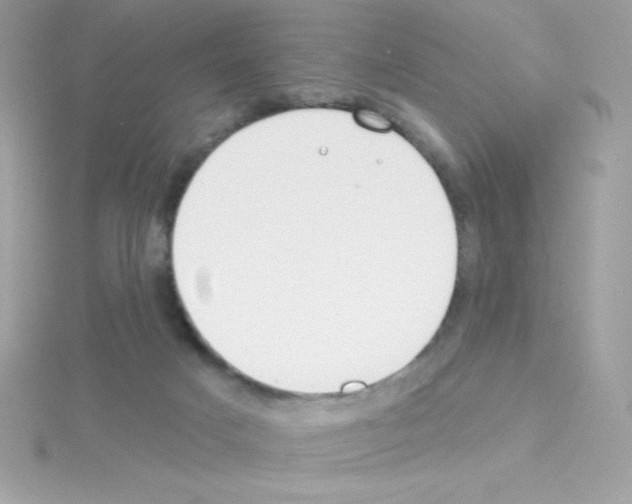 X0000114400025200911271525