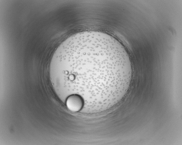 X0000114400026200911271525