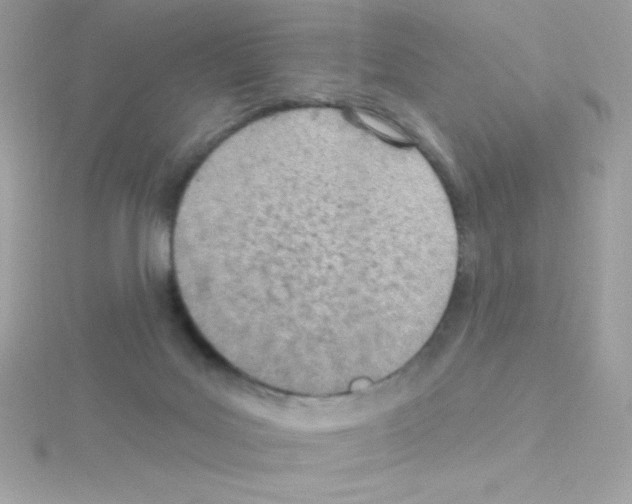 X0000114400027200911271525