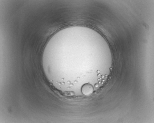 X0000114400028200911271525