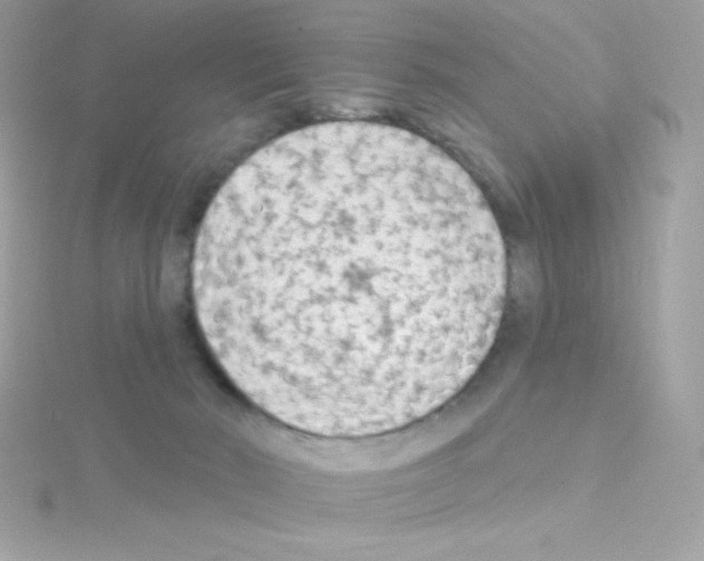 X0000114400030200911271525