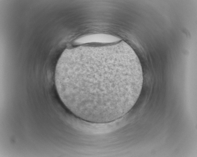 X0000114400031200911271525