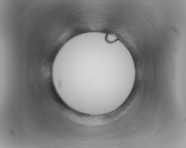 X0000114400032200911271525