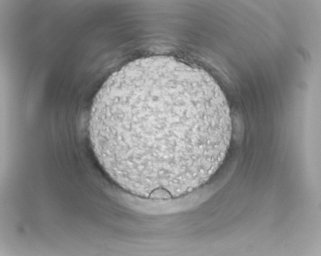 X0000114400034200911271525