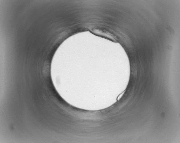 X0000114400036200911271525