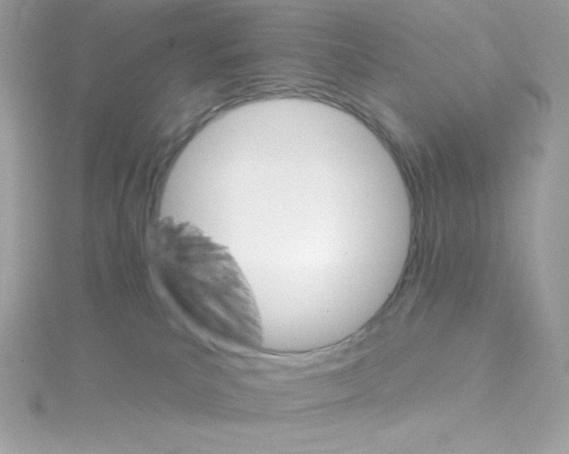 X0000114400039200911271525