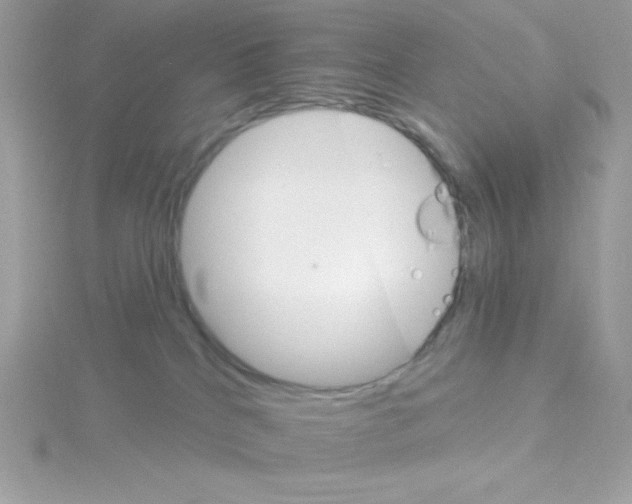 X0000114400040200911271525