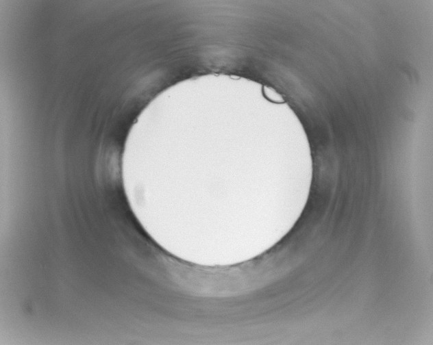 X0000114400042200911271525