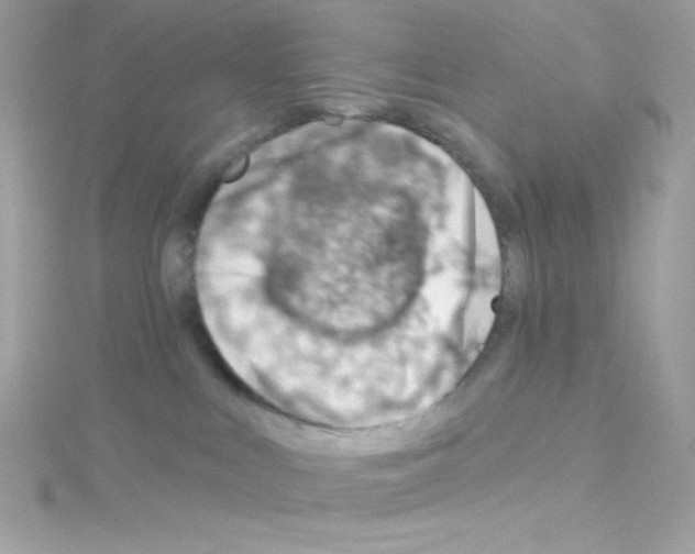 X0000114400043200911271525