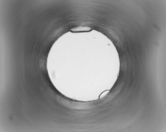 X0000114400044200911271525