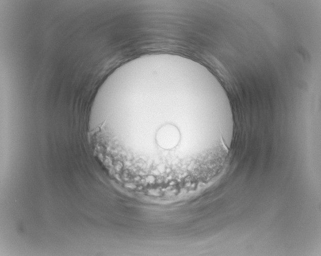 X0000114400045200911271525