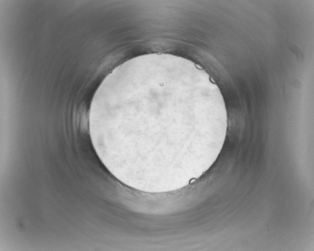 X0000114400046200911271525