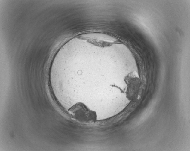 X0000114400049200911271524